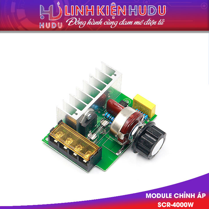 Module chỉnh áp SCR-4000W