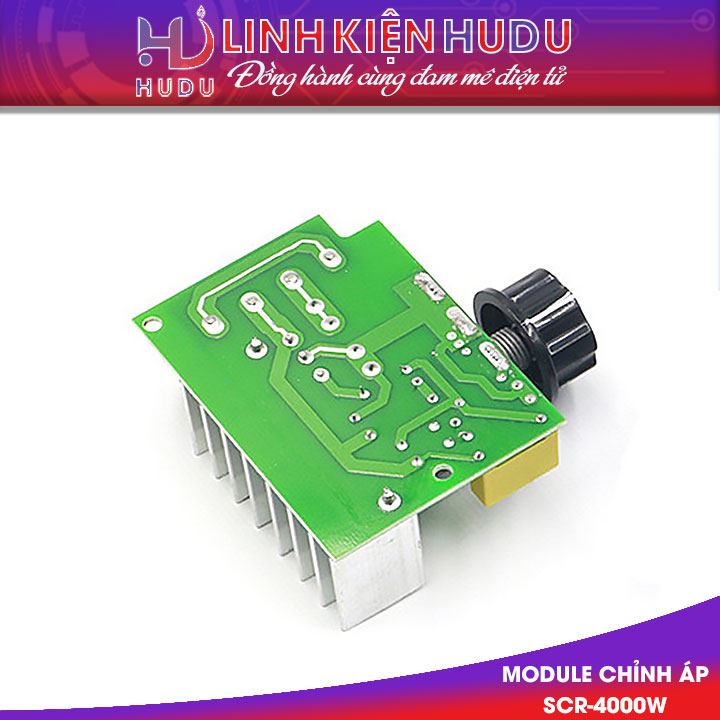 Module chỉnh áp SCR-4000W