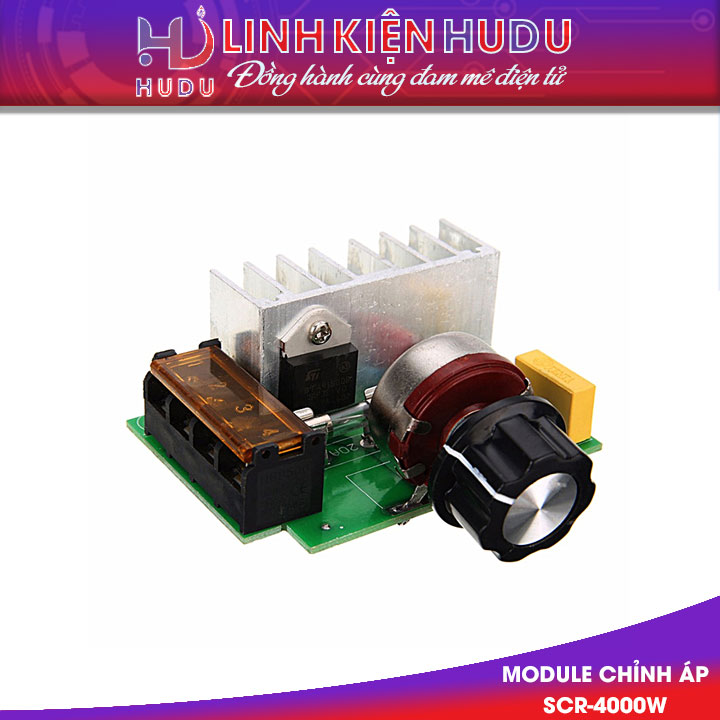 Module chỉnh áp SCR-4000W