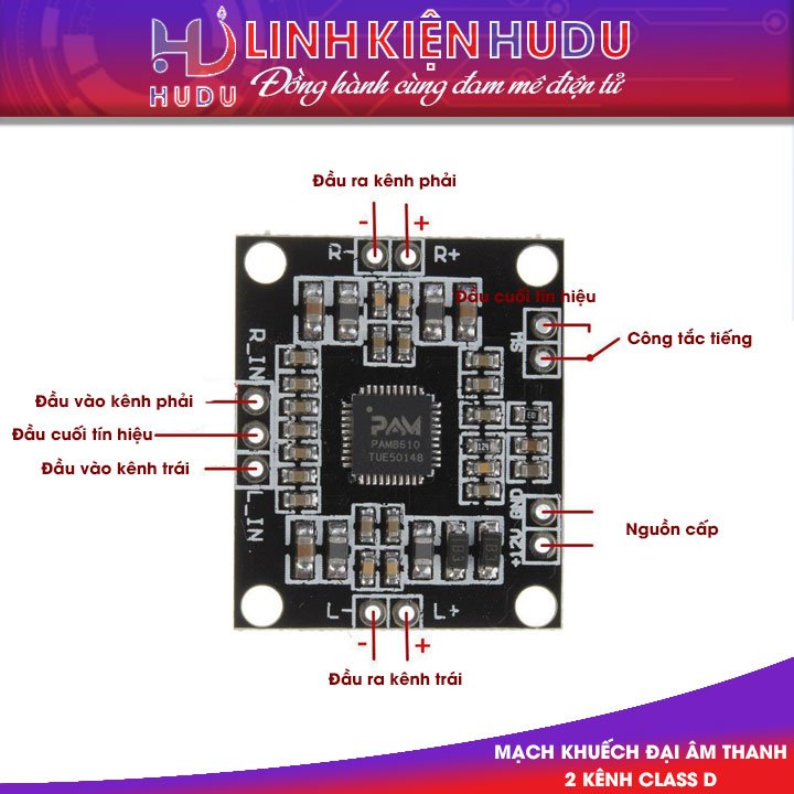 Module XH-181 Pam8610