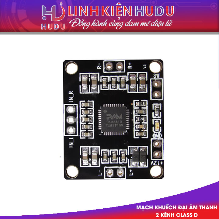 Module XH-181 Pam8610