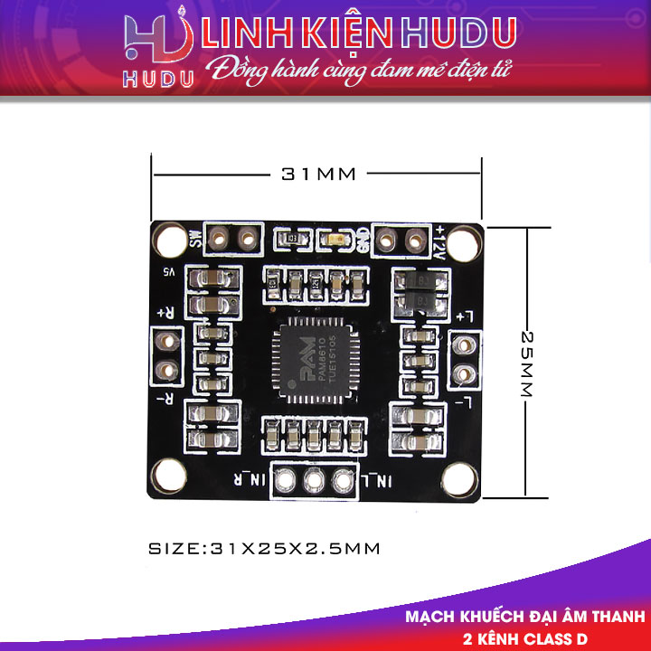 Module XH-181 Pam8610