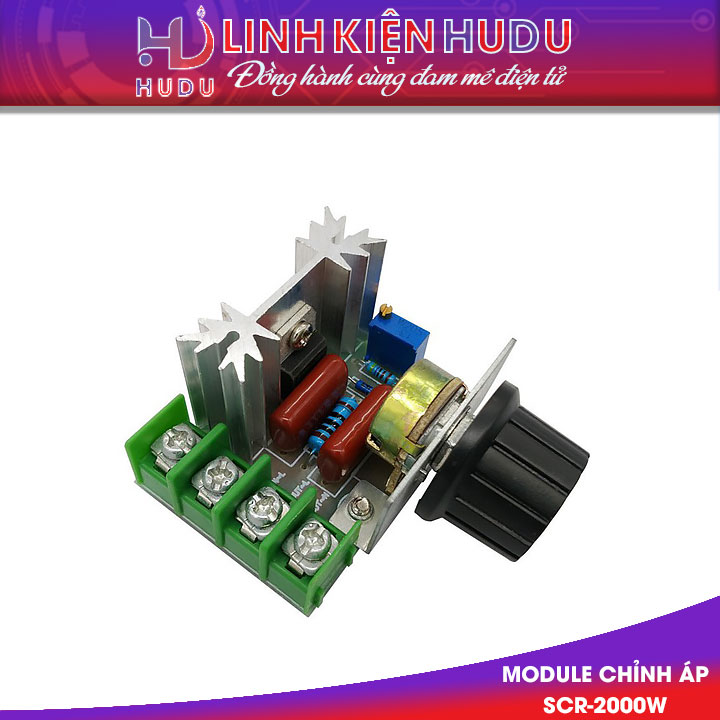 Module chỉnh điện áp SCR-2000W