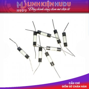 Cầu chì gốm [sứ] 6.3A chân hàn 