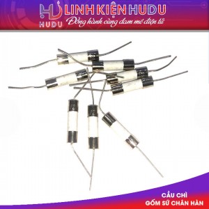 Cầu chì gốm [sứ] 30A chân hàn, cầu chì cắm