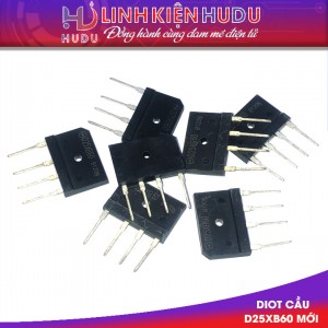 Diot cầu D25XB60 mới