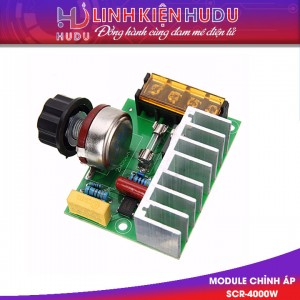 Module chỉnh áp SCR-4000W