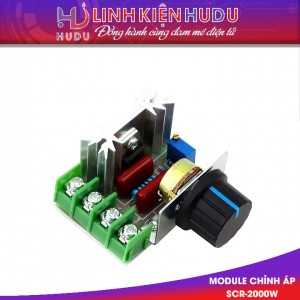 Module chỉnh điện áp SCR-2000W
